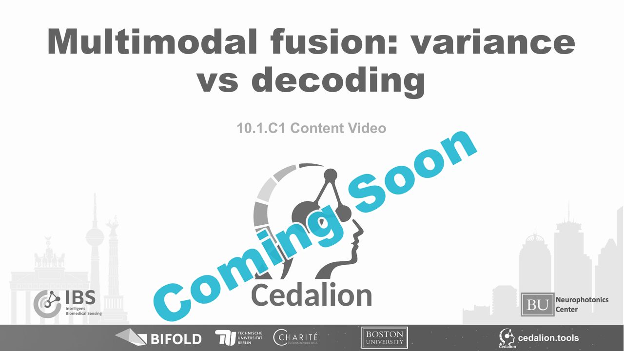 10.1.C1 content video: Multimodal fusion: variance vs decoding (coming soon)