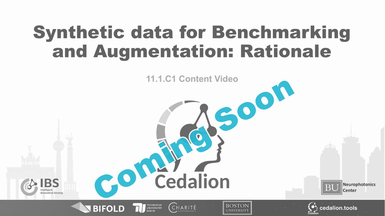 11.1.C1 content video: Synthetic data for Benchmarking and Augmentation: Rationale (coming soon)