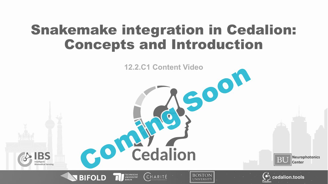 12.2.C1 content video: Snakemake integration in Cedalion: Concepts and Introduction (coming soon)