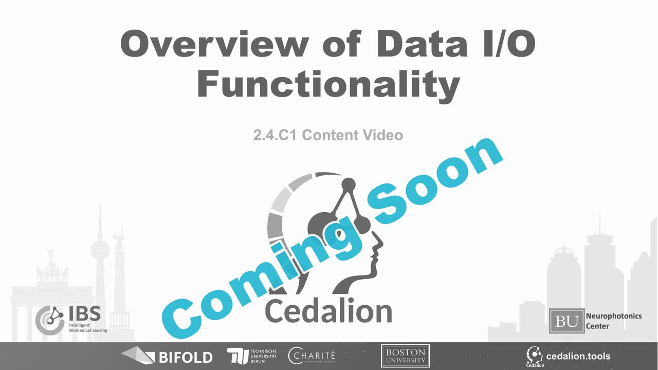 2.4.C1 content video: Overview of Data I/O Functionality (coming soon)