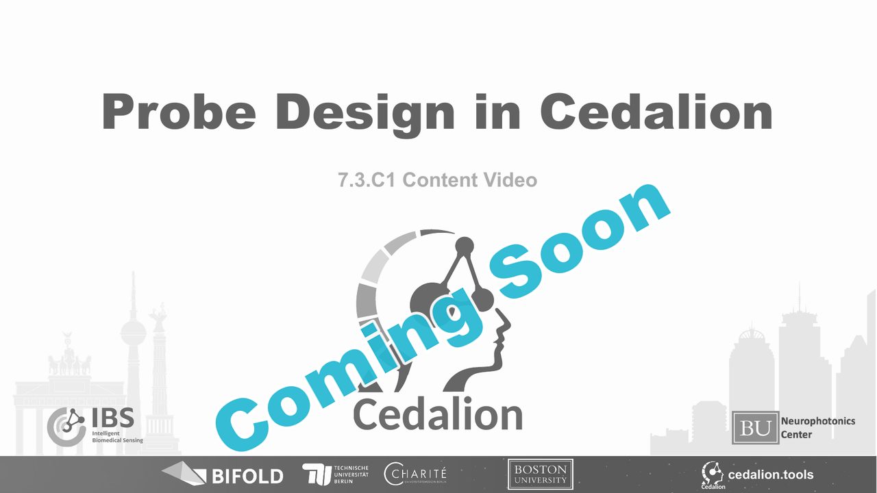 7.3.C1 content video: Probe Design in Cedalion (coming soon)