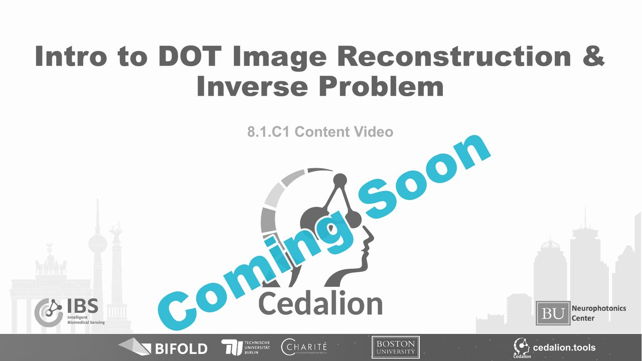 8.1.C1 content video: Intro to DOT Image Reconstruction & Inverse Problem (coming soon)