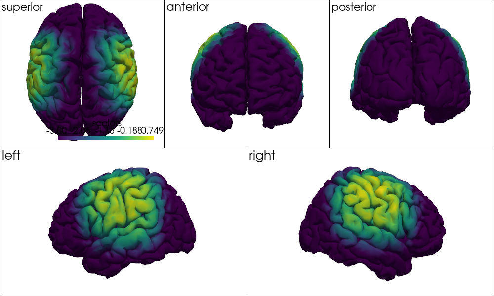 ../../_images/examples_head_models_46_precompute_fluence_9_10.png