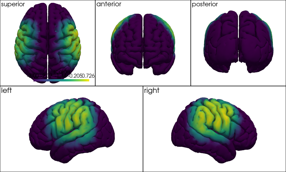 ../../_images/examples_head_models_46_precompute_fluence_9_13.png