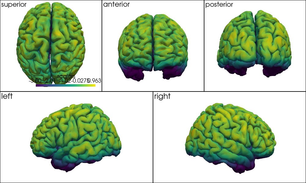 ../../_images/examples_head_models_46_precompute_fluence_9_24.png