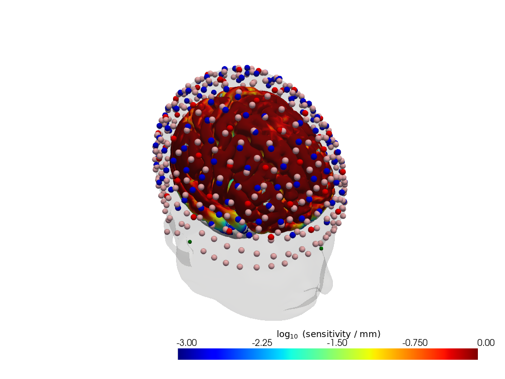 ../../_images/examples_head_models_46_precompute_fluence_9_27.png