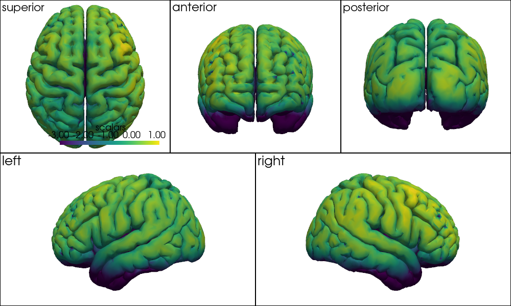 ../../_images/examples_head_models_46_precompute_fluence_9_28.png