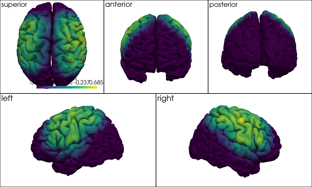 ../../_images/examples_head_models_46_precompute_fluence_9_3.png