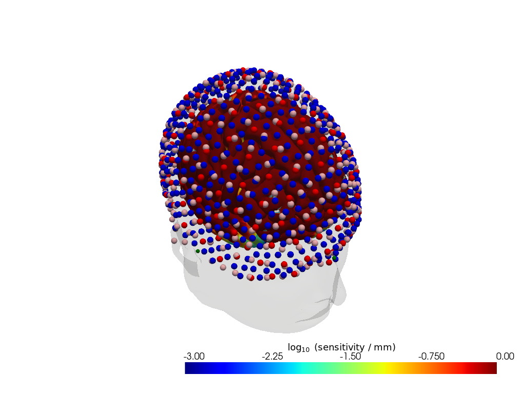 ../../_images/examples_head_models_46_precompute_fluence_9_35.png