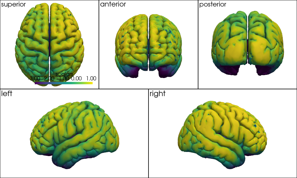 ../../_images/examples_head_models_46_precompute_fluence_9_36.png