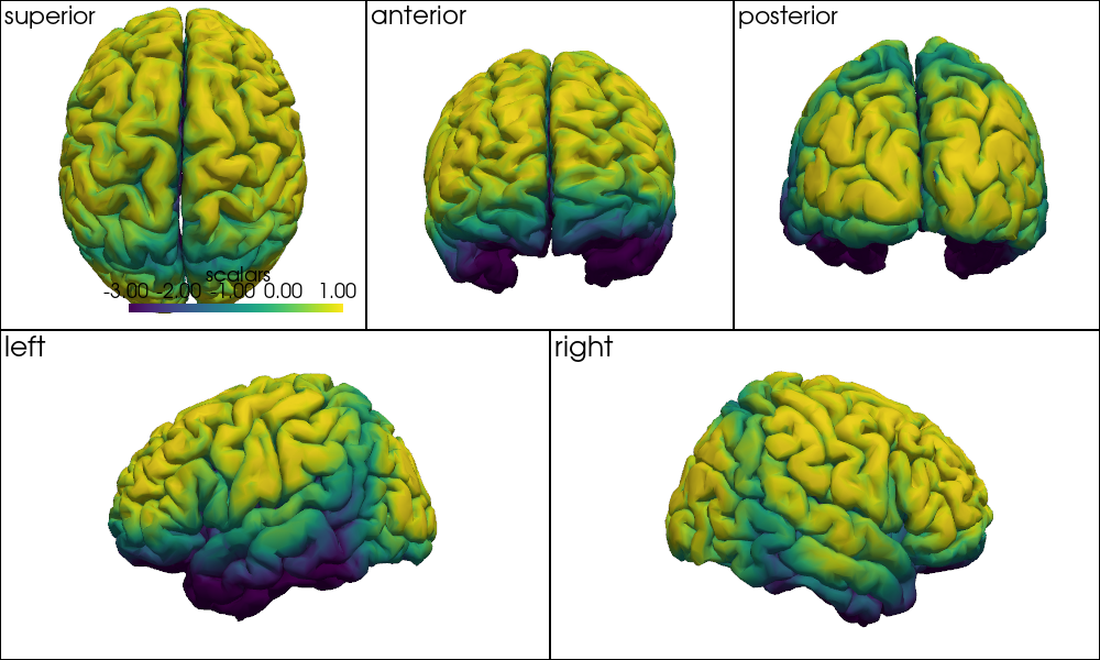 ../../_images/examples_head_models_46_precompute_fluence_9_39.png