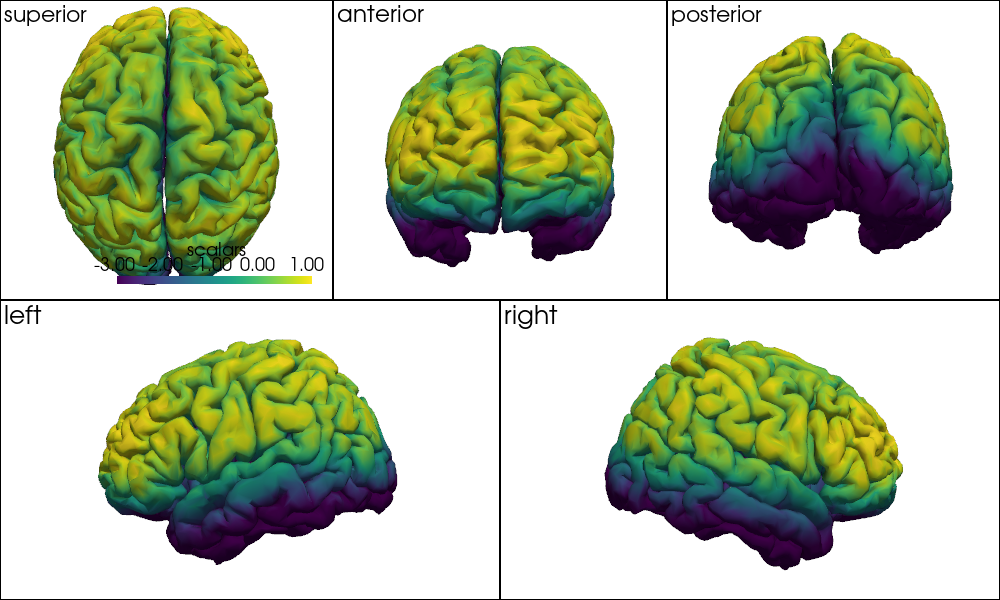 ../../_images/examples_head_models_46_precompute_fluence_9_42.png