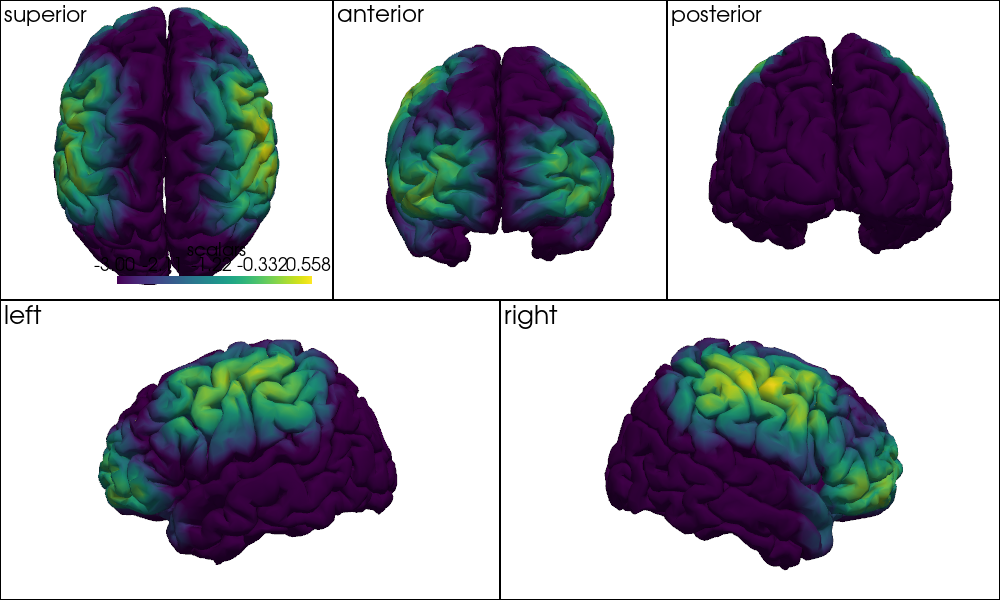 ../../_images/examples_head_models_46_precompute_fluence_9_45.png