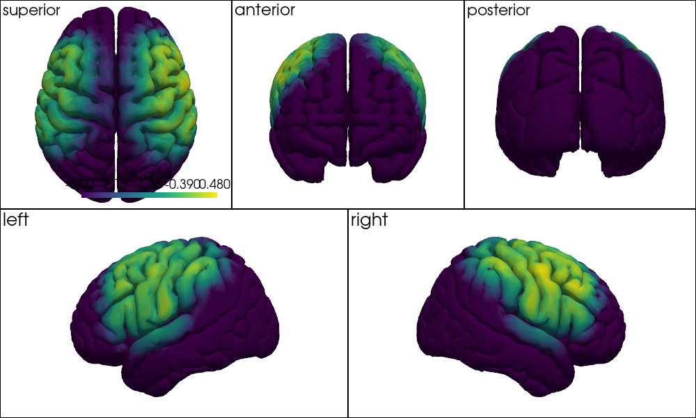 ../../_images/examples_head_models_46_precompute_fluence_9_7.png