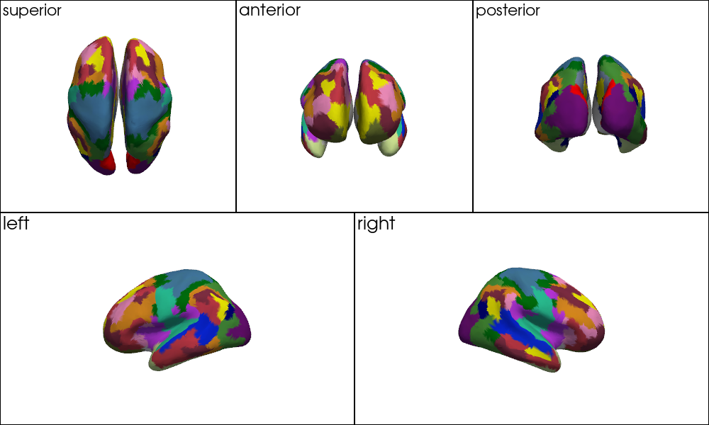 ../../_images/examples_head_models_52_mni_atlas_labels_aal3_brodmann_19_0.png
