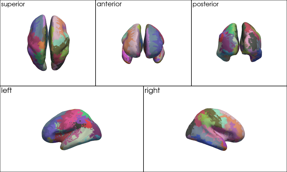 ../../_images/examples_head_models_52_mni_atlas_labels_aal3_brodmann_21_1.png