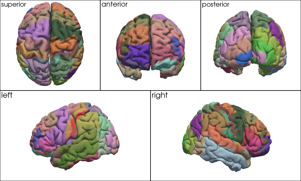 ../../_images/examples_head_models_52_mni_atlas_labels_aal3_brodmann_23_0.png