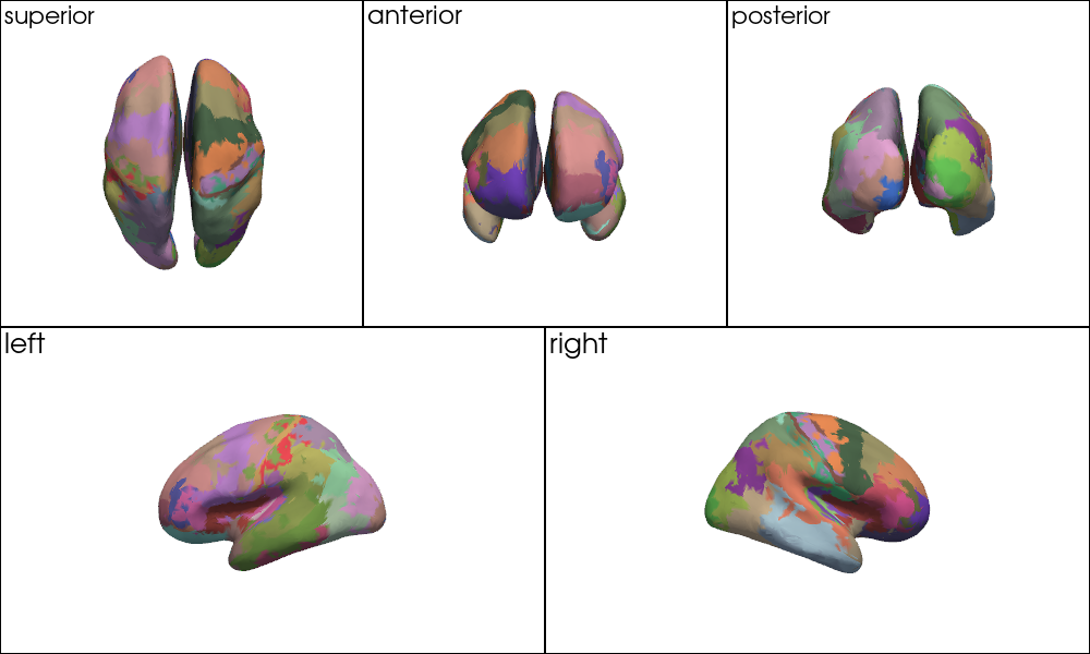 ../../_images/examples_head_models_52_mni_atlas_labels_aal3_brodmann_23_1.png