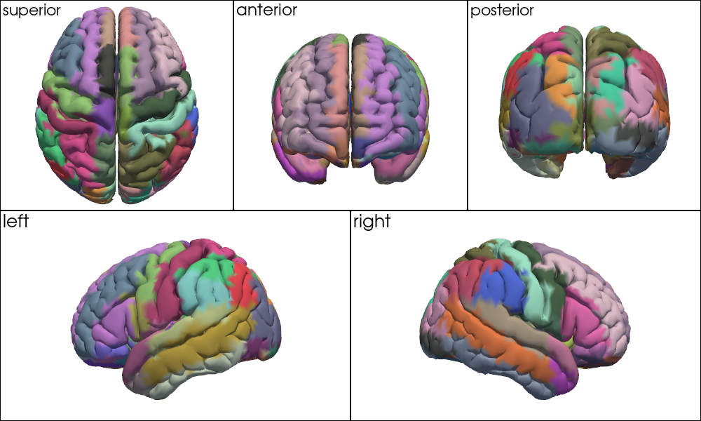 ../../_images/examples_head_models_52_mni_atlas_labels_aal3_brodmann_25_0.png