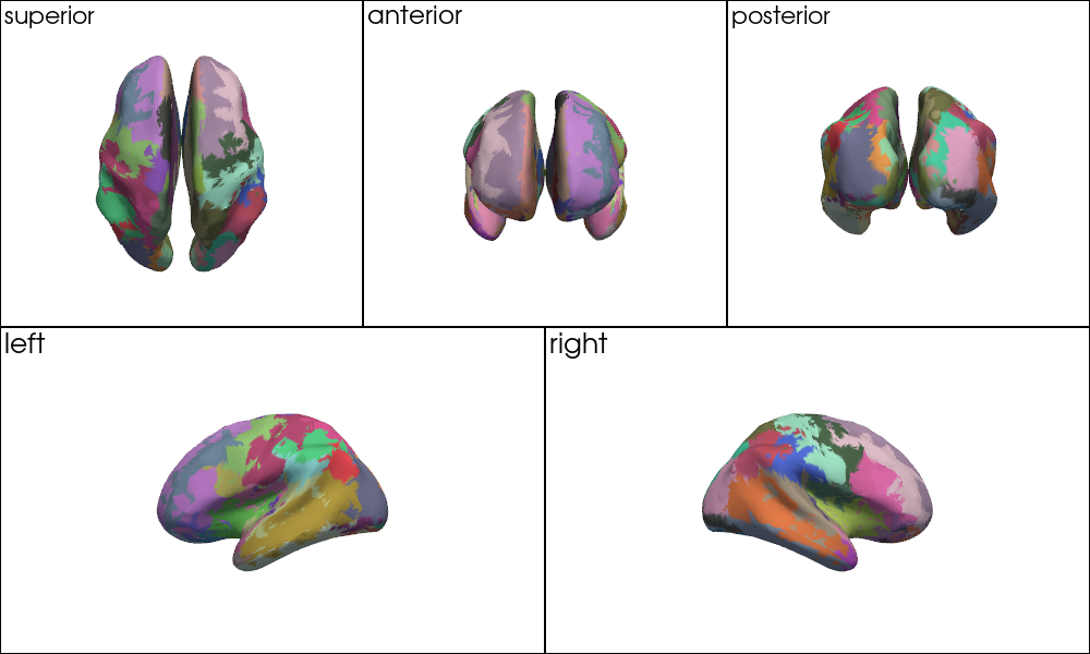 ../../_images/examples_head_models_52_mni_atlas_labels_aal3_brodmann_25_1.png