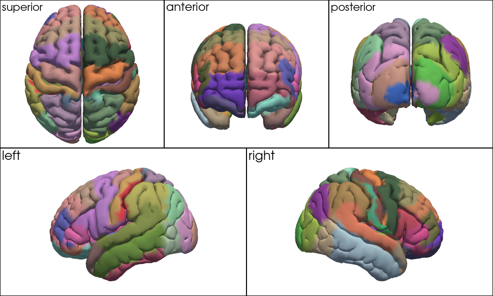 ../../_images/examples_head_models_52_mni_atlas_labels_aal3_brodmann_27_0.png
