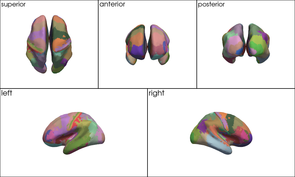 ../../_images/examples_head_models_52_mni_atlas_labels_aal3_brodmann_27_1.png
